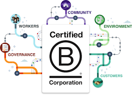 B Corps: Pioneering a New Era of Purpose-Driven Business